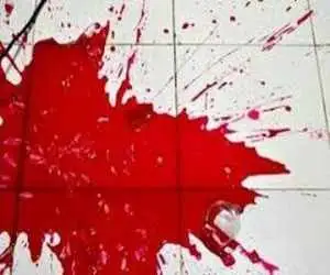 بازداشت دو برادر قاتل در تهران