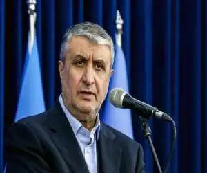 اسلامی: سازمان انرژی اتمی در حمله نظامی هیچ تلفاتی نداشت -  هیچ بازرسی در ایران نیست