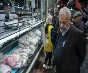 مردم نخریدند ارزان شد؛ قیمت جدید مرغ در بازار اعلام شد