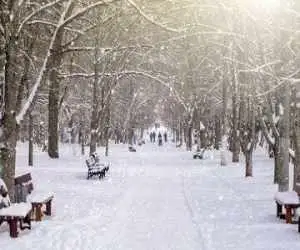 زمان شروع بارش برف در تهران مشخص شد