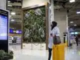 شوک قیمتی در بازار پروازها  -  قیمت جدید بلیط هواپیما اعلام شد