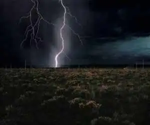 برترین آثار هنری که 2025 به نمایش درآمدند