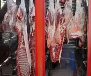 گوشت ارزان می شود؟ -  هشدار اتحادیه دام سبک درمورد بازار گوشت سال آینده