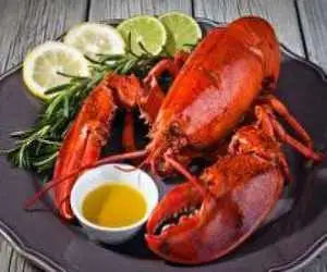 عرضه خرچنگ ، هشت پا و صدف  در برخی رستوران ها  - تبلیغ برای حرام های گران قیمت