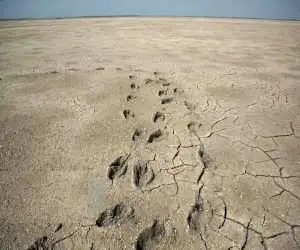 خلیج گرگان در خطر خشک  شدن