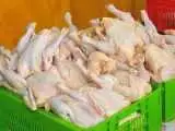 درخواست اتحادیه مرغداران برای جمع آوری مرغ مازاد پیش از رمضان و نوروز