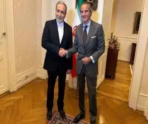 ویدیو  -  دیدار مدیرکل آژانس بین المللی انرژی اتمی با وزیر امور خارجه ایران