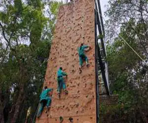 مهارت آموزی