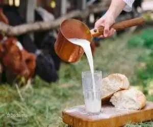 وضعیت ابتلا به تب مالت در ایران -   مهم ترین راه حل های کاهش بروز تب مالت 