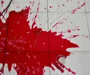 قتل ناگوار پدر با 16 ضربه چاقو