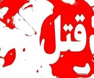 جنایت در میهمانی چند نوجوان -  سعید چطور کشته شد؟