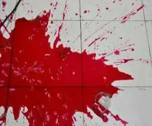 قتل دختر شهرکردی توسط راننده اسنپ