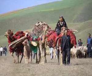 از (علف) تا یونسکو؛ این کوچ جهانی می شود