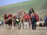 از (علف) تا یونسکو؛ این کوچ جهانی می شود