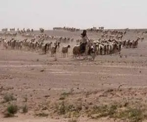 افشا دومین پایگاه نظامی سری اسرائیل در خاک عراق  -  نیویورک تایمز: آمریکا عامدانه وجود این پایگاه را پنهان کرده بود