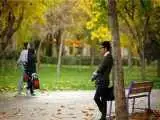 آمار مجردان قطعی در ایران اعلام شد
