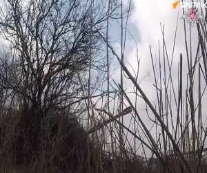ویدیو  -  رونمایی نیروهای مسلح روسیه از کار توپخانه خودکششی روسی مدل (مستا-اس)