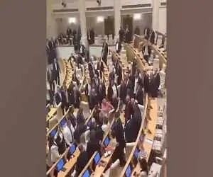 ویدیو  -  جنجال در پارلمان گرجستان؛ درگیری فیزیکی نمایندگان حاکم و مخالف