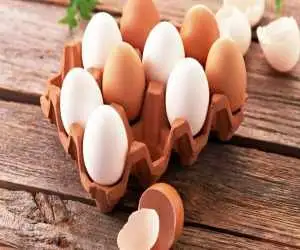 ویدیو  -  تخم مرغ درست کردن با گرمای آفتاب پاریس