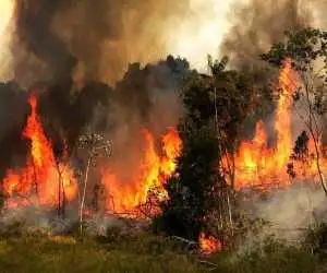 ویدیو  -  فوت 3 آتش نشان در جریان کنترل آتش سوزی در آمریکا