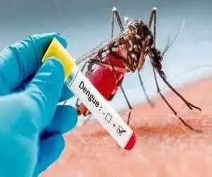 هشدار وزارت بهداشت درمورد خطر گسترش تب دنگی -  استقرار پشه (آئدس) در این نقاط کشور