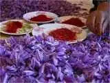 گرانی جالب زعفران -  بازار محصولات تقلبی سکه شد