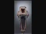 ببر (عصر یخبندان) حراج می شود