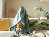 چرا بعضی افراد همیشه سردشان است؟ -  5 عامل مؤثر در احساس سرمای مداوم