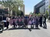 چهره های سینمایی هم برای وداع آمدند  -  ببینید
