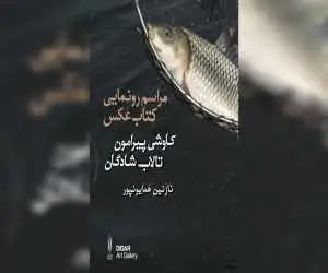 رونمایی از کاوشی درباره تالاب شادگان