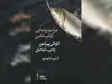 رونمایی از کاوشی درباره تالاب شادگان
