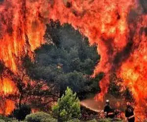 آتش سوزی عمدی در عرصه های طبیعی فارس  -  5 نفر دستگیر شدند