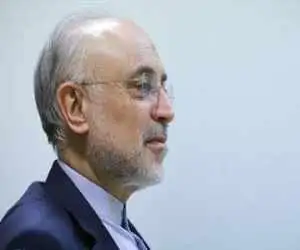 تصمیم مدبرانه رهبر شهید در مورد برنامه هسته ای چه بود؟  -  علی اکبر صالحی: این مورد نشانی واضح از فراست، آینده نگری و اشراف امام شهیدمان بود