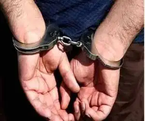 ویدیو  -  بازداشت عاملان حمله مسلحانه  در شمال تهران