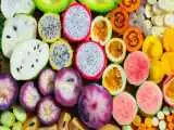 برای افزایش طول عمر این 9 میوه را حتما بخورید