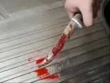 پدرکشی با یک ضربه چاقو -  عکس