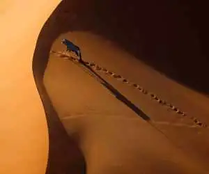 تماشای زمین از چشم آسمان