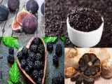 8 خوراکی سیاه با فواید شگفت انگیز برای بدن