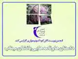 داستان ها و نامه هایی با نشان میناب