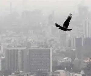 خبر مهم برای متقاضیان مسکن اجازه ای -  ثبت نام مرحله جدید مسکن استیجاری شروع شد