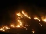ویدیو  -  آتش سوزی وسیع در کوه دراک شیراز