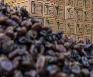 یک اتفاق مهم در بازار خرما  -  قیمت هر کیلو مضافتی به 240 هزار تومان رسید
