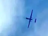 ویدیو  -  لحظه ناگوار سقوط یک فروند هواگرد روی دو گردشگر