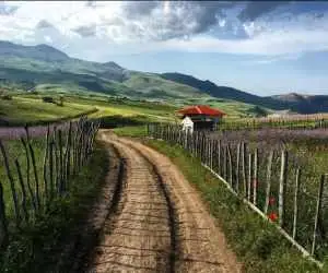 روایتی تصویری از دریاچه سوها تا ارتفاعات خیال انگیز در مرز اردبیل و گیلان -  بهشت به سبک ایرانی