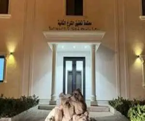 گونی های اسکناس در بغداد  -  کشف 27 میلیارد دینار عراقی در پرونده معاون وزیر نفت عراق  -  عکس