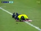 ویدیو  -  حملهٔ زنبورها یک مسابقهٔ فوتبال را متوقف کرد!