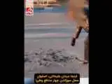 صحنه  ناگوار از محل سوزاندن وحشیانه 4 مامور حافظ امنیت در اصفهان + ویدئو  -  پوست سرش چسبیده بود..