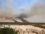 ویدیو  -  اعلام دلیل اصلی آتش سوزی گسترده در هورالعظیم