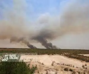 ویدیو  -  اعلام دلیل اصلی آتش سوزی گسترده در هورالعظیم