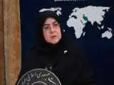 ماجرای فردوسی پور و دستور ویژه رئیس جمهور به روایت سخنگوی دولت